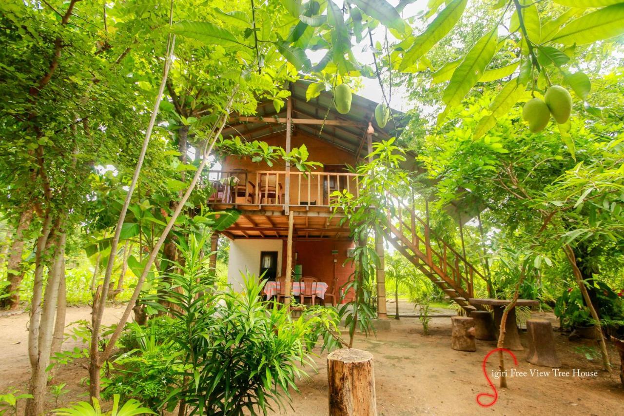 Sigiriya Free View Tree House & Villa 外观 照片