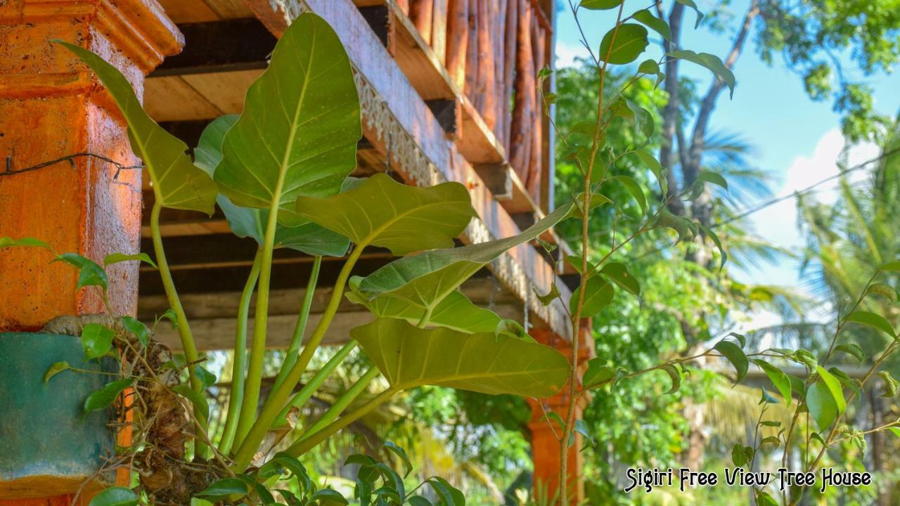 Sigiriya Free View Tree House & Villa 外观 照片