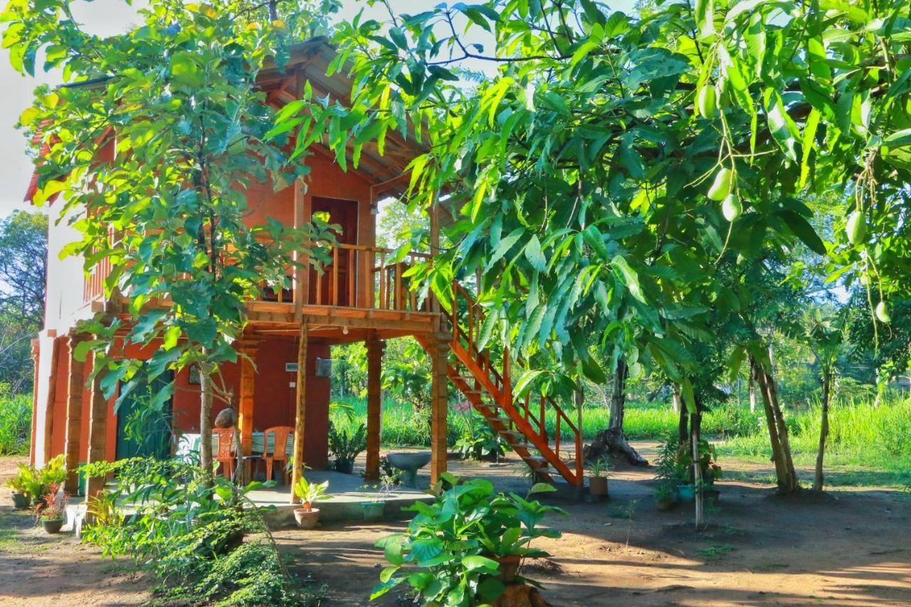 Sigiriya Free View Tree House & Villa 外观 照片