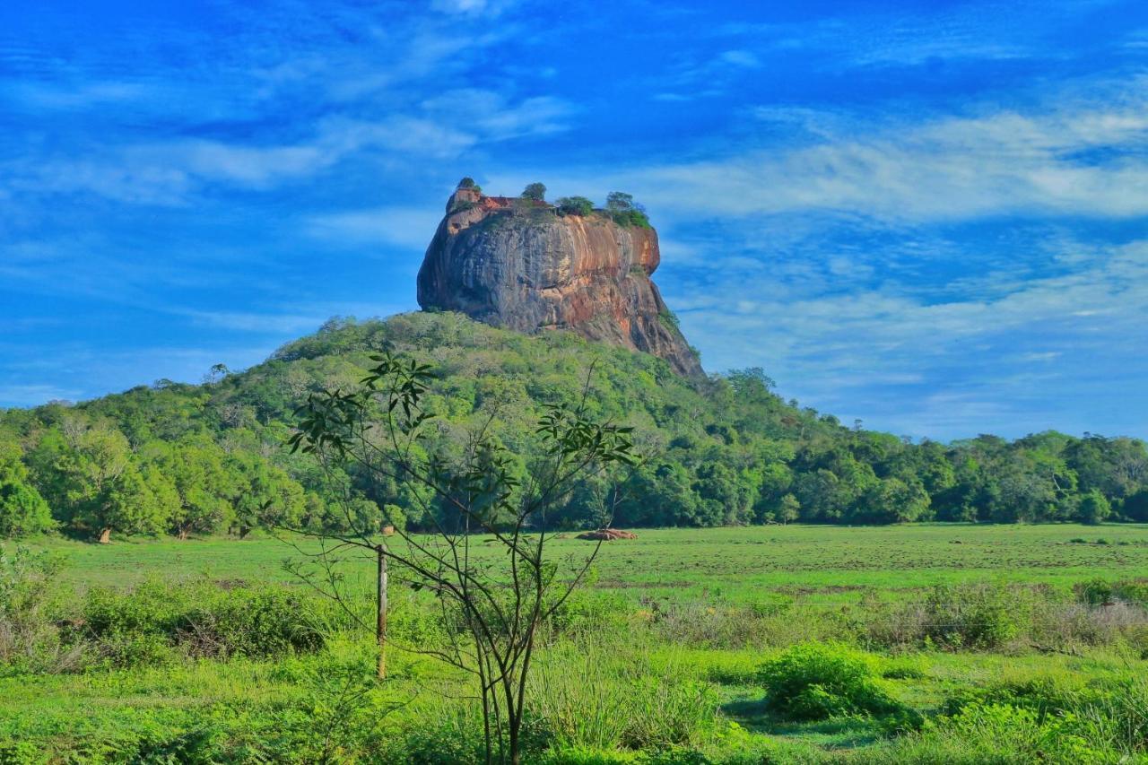 Sigiriya Free View Tree House & Villa 外观 照片