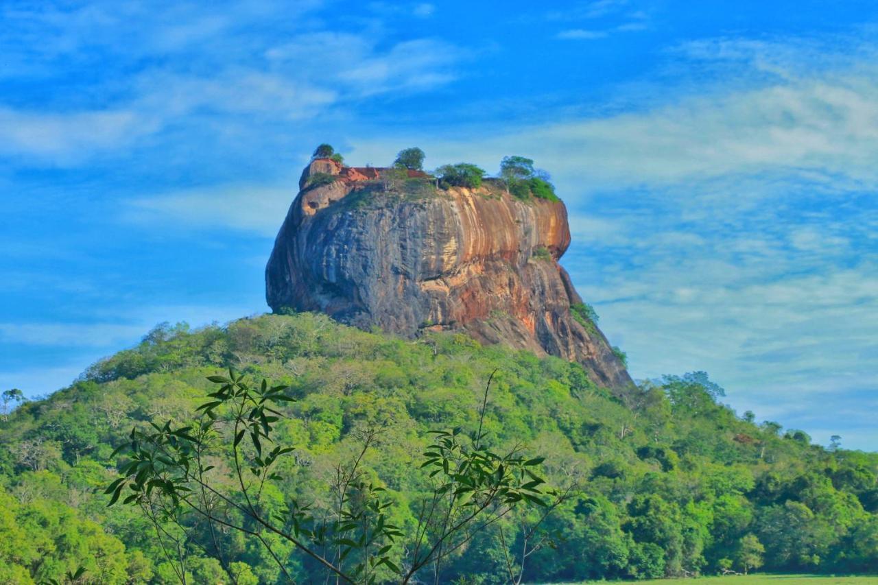 Sigiriya Free View Tree House & Villa 外观 照片